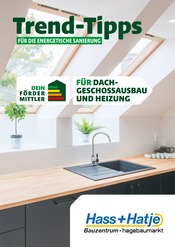 Aktueller Hass + Hatje GmbH Baumarkt Prospekt in Siek und Umgebung, "Trend-Tipps FÜR DIE ENERGETISCHE SANIERUNG" mit 7 Seiten, 18.10.2024 - 27.10.2024