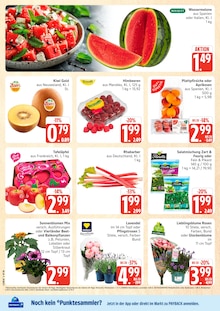 Äpfel im E center Prospekt "Top Angebote" mit 40 Seiten (Rostock)