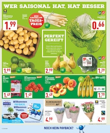 Bio Bananen im aktuellen Marktkauf Prospekt (Bochum) Bio Bananen im Marktkauf Prospekt "Aktuelle Angebote" mit 20 Seiten (Bochum)