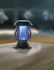 Solar LED-Deko-Leuchte und Mückenvertreiber Angebote bei Netto mit dem Scottie Halle für 9,99 €