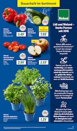 Gurken Angebot & Preis im aktuellen Lidl Prospekt Gurken Angebot im aktuellen Lidl Prospekt auf Seite 3