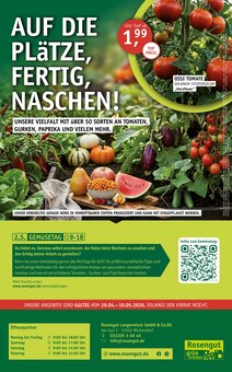 Tomaten im aktuellen ROSENGUT Langerwisch Prospekt (Potsdam) Tomaten im ROSENGUT Langerwisch Prospekt "BUNTE VIELFALT!" mit 12 Seiten (Potsdam)