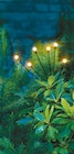 Solar-Gartenstecker Glühwürmchen von Garden Dream im aktuellen Netto mit dem Scottie Prospekt