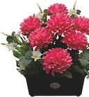 Jardinière de Pomponnettes et Fleurettes - Thevenin en promo chez Intermarché Hyper Toulouse à 19,99 €