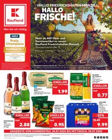 Rotkäppchen Sekt im aktuellen Kaufland Prospekt (Friedrichshafen) Rotkäppchen Sekt im Kaufland Prospekt "Aktuelle Angebote" mit 57 Seiten (Friedrichshafen)