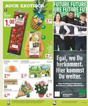 Aktueller Marktkauf Prospekt mit Pflanzen, "Aktuelle Angebote", Seite 3