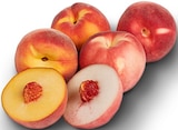 Obst im REWE Prospekt Gelb- oder weißfleischige Pfirsiche im aktuellen REWE Prospekt für 3,99 €