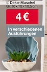 Deko-Muschel Angebote bei Woolworth Baden-Baden für 4,00 €