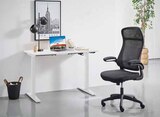E-Schreibtisch Ulix im Angebot bei Zurbrüggen in Bremerhaven E-Schreibtisch Ulix Angebote von CARRYHOME bei Zurbrüggen Bremerhaven für 199,00 €