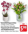 Schmetterlingsorchidee Angebote bei E center Worms für 5,99 €