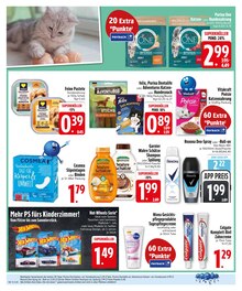 Teppichboden im EDEKA Prospekt "Wir lieben Lebensmittel." mit 26 Seiten (Regensburg)