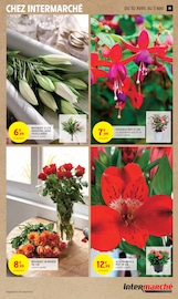 Plantes Angebote im Prospekt "50% REMBOURSÉS EN BONS D'ACHAT SUR TOUT LE RAYON LESSIVE" von Intermarché auf Seite 19