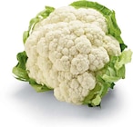 Netto Marken-Discount - Blumenkohl Angebot im Prospekt Blumenkohl bei Netto Marken-Discount im Prospekt "" für 1,00 €