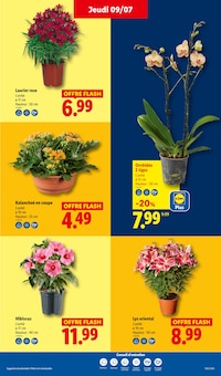 Catalogue Lidl, 09/07/2026 - 15/07/2026, Au coeur de nos régions !, 68 pages Prospectus Lidl en cours, "Au coeur de nos régions !", 68 pages