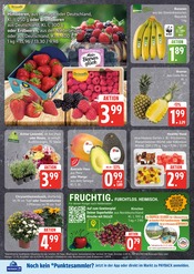 Ähnliche Tulpen Angebote im Prospekt "Top Angebote" von EDEKA in Seevetal Ähnliche Angebote wie Tulpen im Prospekt "Top Angebote" auf Seite 6 von EDEKA in Seevetal