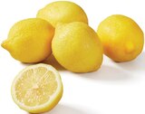 Lidl Chalon-sur-Saône - Promo Citron Promo Citron à 0,95 € dans le catalogue Lidl à Chalon-sur-Saône