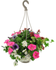 Suspension fleurie en promo chez Carrefour Colombes à 10,99 €