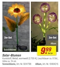 Solar-Blumen Angebote bei toom Baumarkt Zwickau für 9,99 €