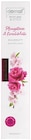 Perfume & Style Raumduft Nachfüllpack von Domol im aktuellen Rossmann Prospekt für 1,99 €