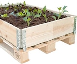 Hochbeetrahmen im aktuellen Thomas Philipps Prospekt