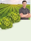 Kopfsalat im Angebot bei Netto Marken-Discount in Hagen Kopfsalat Angebote bei Netto Marken-Discount Hagen für 0,69 €