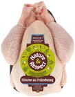 Frische Freiland-Hähnchen im Angebot bei REWE in Friedrichshafen Frische Freiland-Hähnchen Angebote von Nature & Respect bei REWE Friedrichshafen für 7,99 €