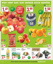 Stauden im Marktkauf Prospekt in Hemer Aktueller Marktkauf Prospekt mit Stauden, "Aktuelle Angebote", Seite 2