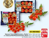 Cherry Rispentomaten Praline Angebote von SanLucar bei E center Neunkirchen für 2,99 €