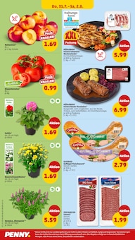 Wurst im Penny Prospekt "Wer günstig will, muss Penny." mit 34 Seiten (Wolfsburg)