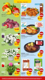 Paprika im Penny Prospekt "Wer günstig will, muss Penny." mit 44 Seiten (Bremen)