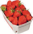Erdbeeren im aktuellen tegut Prospekt für 2,49 €