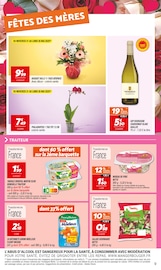 Plante Verte Angebote im Prospekt "LES IMMANQUABLES" von Netto Plante Verte Angebote im Prospekt "LES IMMANQUABLES" von Netto auf Seite 9