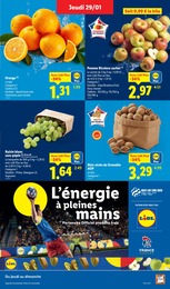 Offre Raisin dans le catalogue Lidl du moment à la page 3