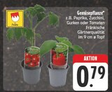 Gemüsepflanze Angebote von Freuden bei EDEKA Gera für 0,79 €