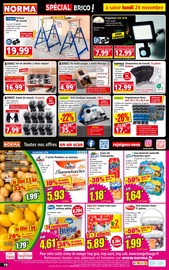 Chevalet Angebote im Prospekt "Votre Discounter Régional" von Norma Chevalet Angebote im Prospekt "Votre Discounter Régional" von Norma auf Seite 10