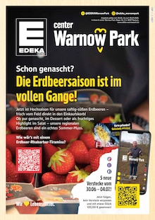 E center Prospekt Top Angebote mit  Seiten in Roggentin und Umgebung