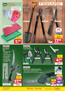 Aster Angebot im Netto Marken-Discount Prospekt, gültig von 07.09.2026 bis 12.09.2026 Aster Angebot im aktuellen Netto Marken-Discount Prospekt auf Seite 45