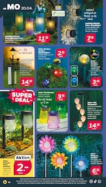 Gartendeko Angebote im Prospekt "Günstig. Besser. Für Dich." von Netto mit dem Scottie auf Seite 18