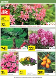 Prix et réduction Kumquat dans le prospectus Carrefour en cours Offre Kumquat dans le catalogue Carrefour du moment à la page 87