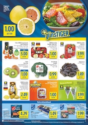 Pflanzen im diska Prospekt in Amberg Aktueller diska Prospekt mit Pflanzen, "alles an deinem ort.", Seite 4