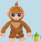 Mon bébé singe à Intermarché dans Le Houlme