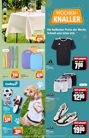 Ähnliche Taucherbrille Angebote im Prospekt "Dein Markt" von REWE in Jena Ähnliche Angebote wie Taucherbrille im Prospekt "Dein Markt" auf Seite 31 von REWE in Jena