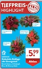 Urnengesteck von GARDENLINE für 5,99 € bei ALDI SÜD im Angebot Urnengesteck von GARDENLINE im aktuellen ALDI SÜD Prospekt