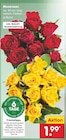 Moosrosen im Angebot bei Netto Marken-Discount in Villingen-Schwenningen Moosrosen Angebote bei Netto Marken-Discount Villingen-Schwenningen für 1,99 €