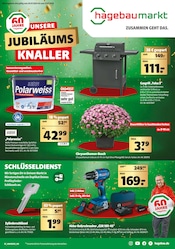 Aktueller Hagebaumarkt Prospekt mit Blumen, "UNSERE JUBILÄUMS KNALLER", Seite 1