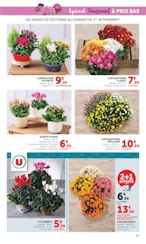 Promos Chrysanthèmes dans le catalogue "Halloween À PRIX BAS" de U Express Chrysanthèmes en promo dans le catalogue U Express à la page 25