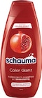Shampoo von Schauma im aktuellen Netto Marken-Discount Prospekt für 1,69 €