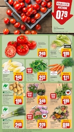 REWE Deko Blumen im Prospekt 