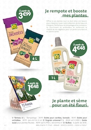 Offre Orchidée dans le catalogue B&M du moment à la page 6