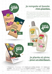 Orchidée Angebote im Prospekt "Autour du Potager" von B&M auf Seite 6